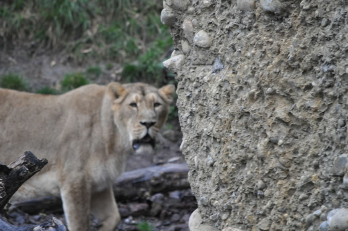 QV-Ausflug - Nachmittag 22