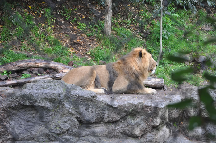 QV-Ausflug - Nachmittag 24