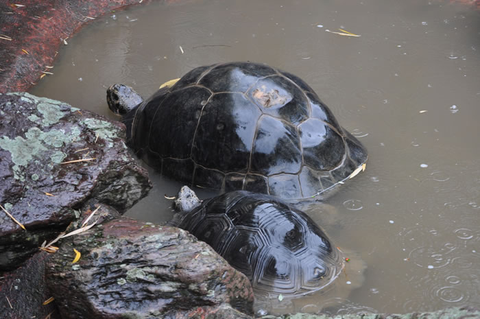 QV-Ausflug - Nachmittag 25