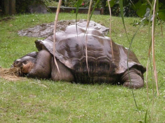 QV-Ausflug - Nachmittag 26