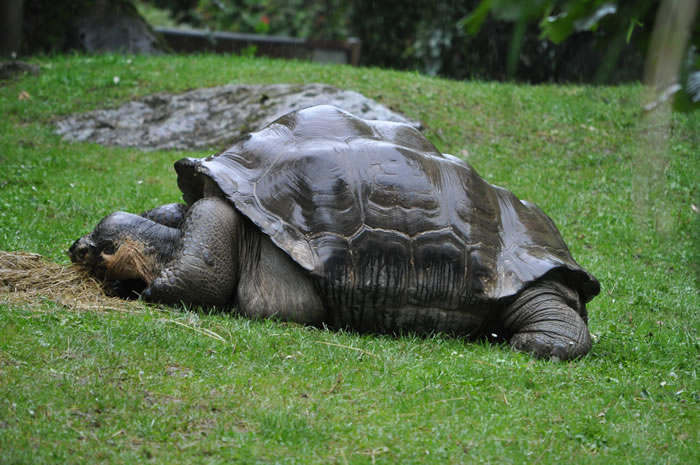 QV-Ausflug - Nachmittag 27
